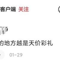 警犬与警花观后感汇合