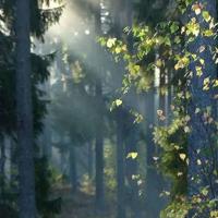 关于国庆阅兵节读后感聚集