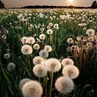 校园里的新发现读后感合计