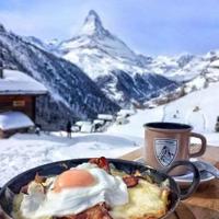 晚安猫头鹰读后感500字汇聚