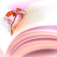 长征电影观后感200细选