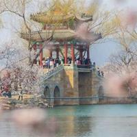 巴特勒上尉读后感200字集合