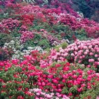 儿女给家长一封信读后感聚集