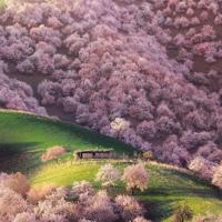 贾志敏找手机观后感汇聚