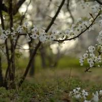国庆节节目的读后感合集