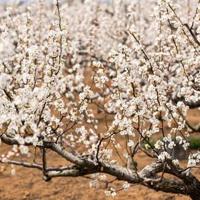 吹泡泡作文读后感二年级集锦