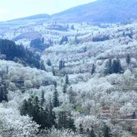 蜘蛛侠英文短篇观后感收集