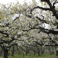 员工假期制度读后感整理