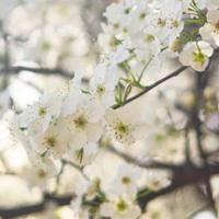 濮阳市一高欺凌观后感细选