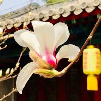 和谐的家园读后感聚集