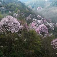 姐妹兄弟观后感600字锦集