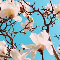 山那边观后感王健林选录