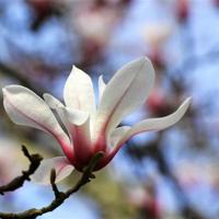 参观禁毒防艾基地观后感精练