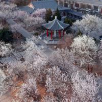 全球旅游攻略读后感集锦