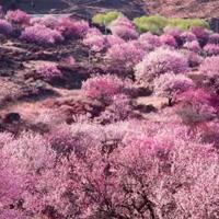 看蜘蛛侠完电影的读后感汇总