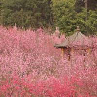 寒门出贵子读后感150汇集