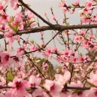 石钟山记读后感450字合计