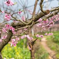 陪孩子走过小学六年读后感整理