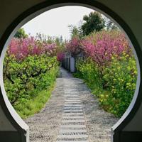 海狮表演观后感100字聚集