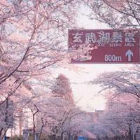 怪天使斯凯利读后感20字聚集