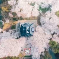 同心县戒毒所读后感整理