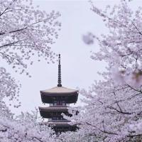 太阳和露珠读后感整理