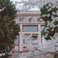 虎啸龙吟观后感60字合集