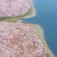 建军节阅兵观后感摘录