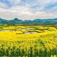 走近科学观后感300合计