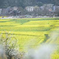 我是证人观后感两百字细选