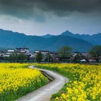 寒门再难出贵子中学观后感集锦