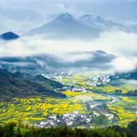 开学作文100字观后感汇聚