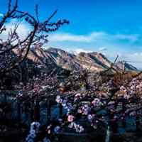 小蜗牛的疑问读后感汇合