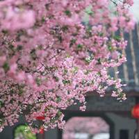 伏义和女娲婚配读后感选录