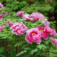 二年级芒种杯读后感集锦