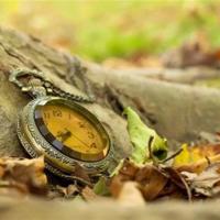 贤人的礼物读后感收集