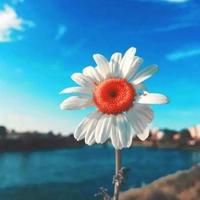 五四青年节共青团观后感合集