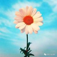 唐诗素描读后感40字汇总