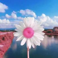 蜘蛛和三个人的读后感汇编