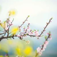 捉妖记观后感800字汇聚