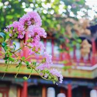 信纸写观后感格式摘录