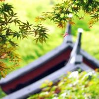 致敬最美青年志愿者观后感聚集