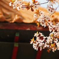 蜘蛛侠3英语观后感6句总汇