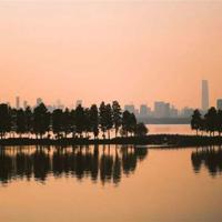 电影斑马线观后感收集