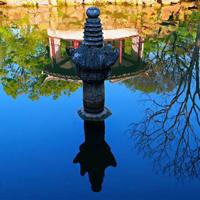 电视剧《老有所依》观后感精选