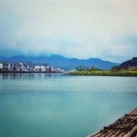 舞蹈赞哈的观后感聚集