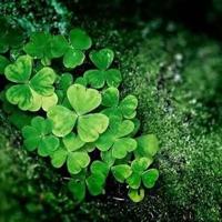 小猴和小熊的故事读后感集合