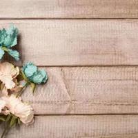 韩国电影外婆回家观后感集锦