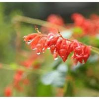 冷枪观后感700字以上细选