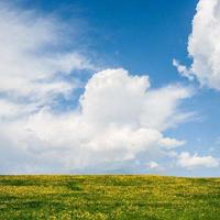 毛毛读后感300字锦集